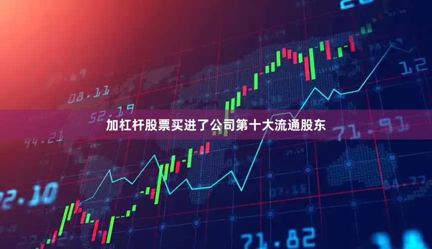 加杠杆股票买进了公司第十大流通股东
