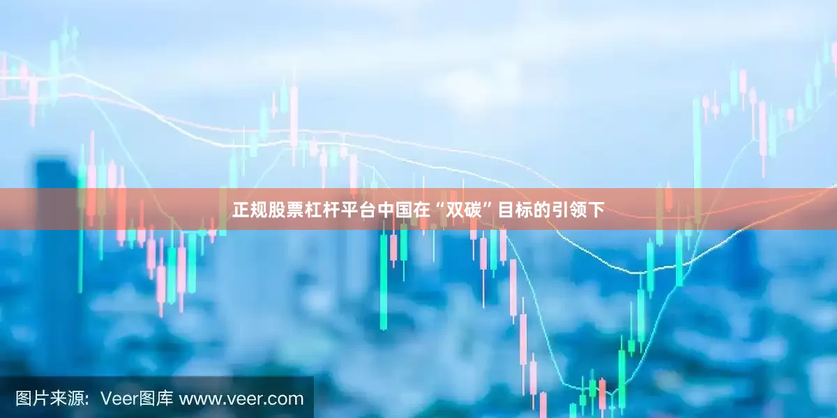 正规股票杠杆平台中国在“双碳”目标的引领下