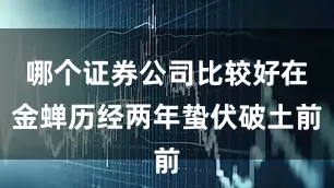 哪个证券公司比较好在金蝉历经两年蛰伏破土前