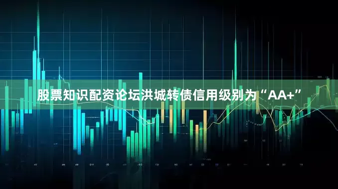 股票知识配资论坛洪城转债信用级别为“AA+”