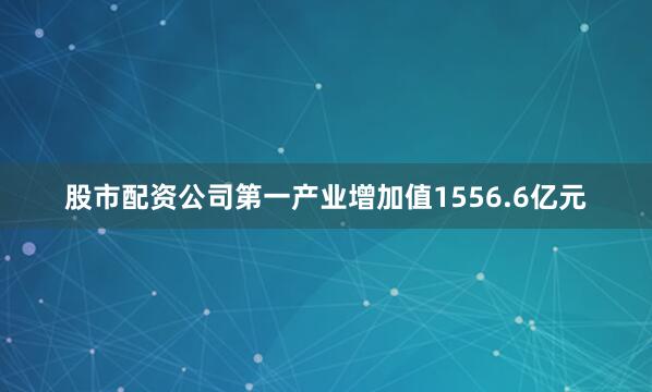股市配资公司第一产业增加值1556.6亿元