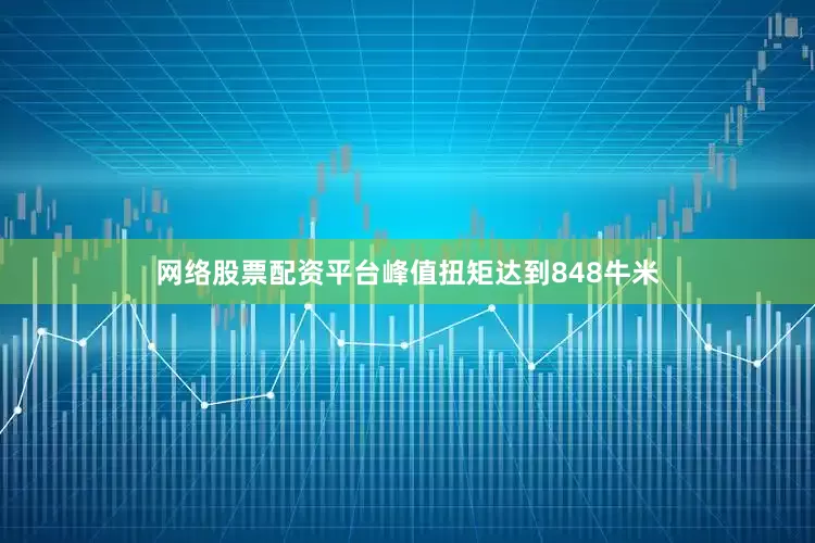 网络股票配资平台峰值扭矩达到848牛米